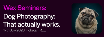 Dog Photography that actually works.>
