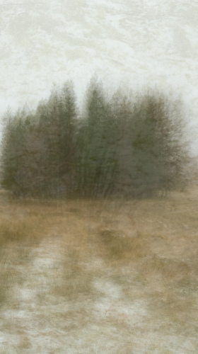 Fujifilm GFX Creativity Workshop with Carol Hartfree