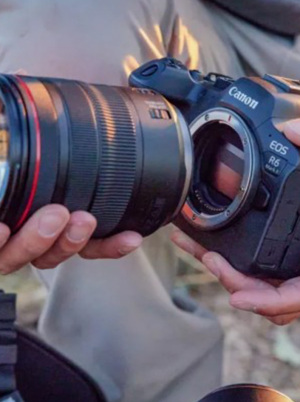 Canon Guru Talks | Getting the most out of your Canon Mirrorless Camera.