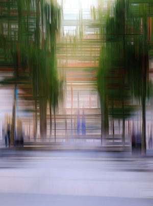 Fujifilm GFX Creativity Workshop with Carol Hartfree