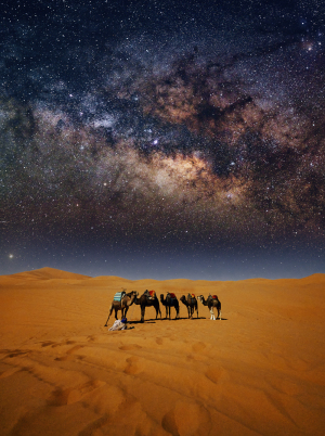 Ron Timehin on Career Building