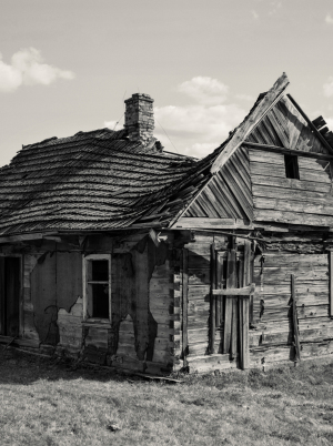 Storytelling through Stills with Alys Tomlinson & Sony