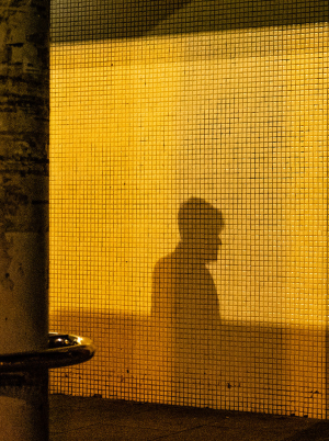Wex Photowalks | Damien Demolder | Sponsored by Wex