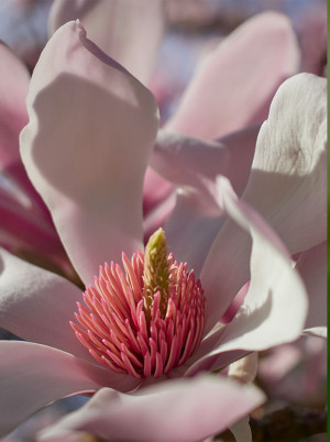Milton Keynes In-Store Macro Photography Day with OM System