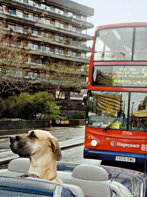 with Matt Stuart on Street Photography