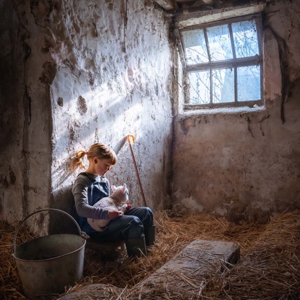 Amy Bateman | Forty Farms: A BTS look at the making of her book