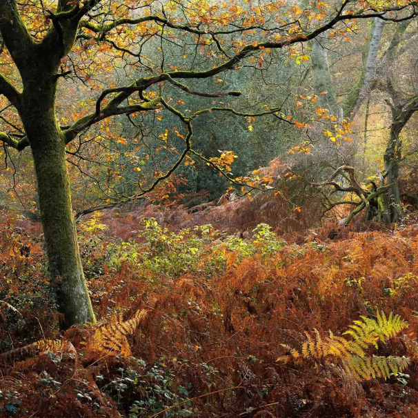 Canon & Fotospeed: Capture to Print with Jack Lodge