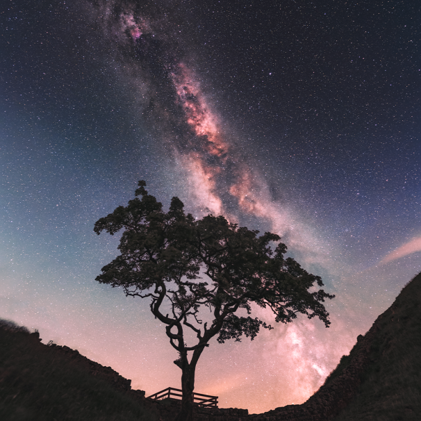 Dan Monk | Astrophotography: Framing the Darkness