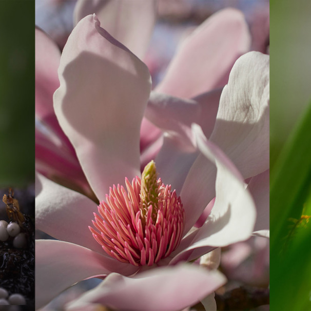 Milton Keynes In-Store Macro Photography Day with OM System